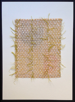 Anne Mieke Kooper